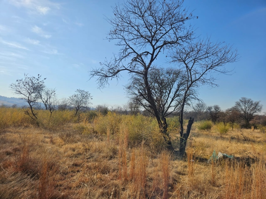 0 Bedroom Property for Sale in Lindequesdrif North West